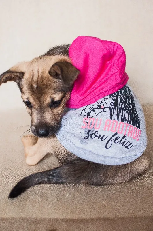 Cachorro ra a SRD idade 2 a 6 meses nome Galega
