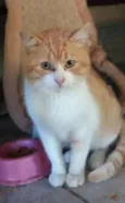 Joaquim
