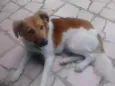 Tor