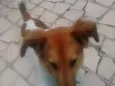 Tor
