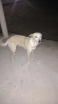 Spyke