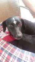 Nina