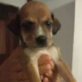Ainda não tem