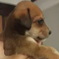 Ainda não tem