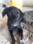 Bebê