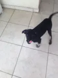 Bebê