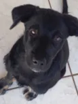 Bebê