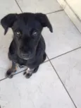 Bebê