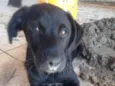 Bebê