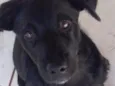 Bebê