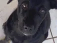 Bebê