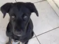 Bebê