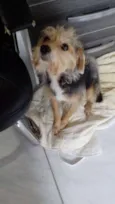 Não tem