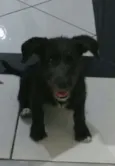 Não tem