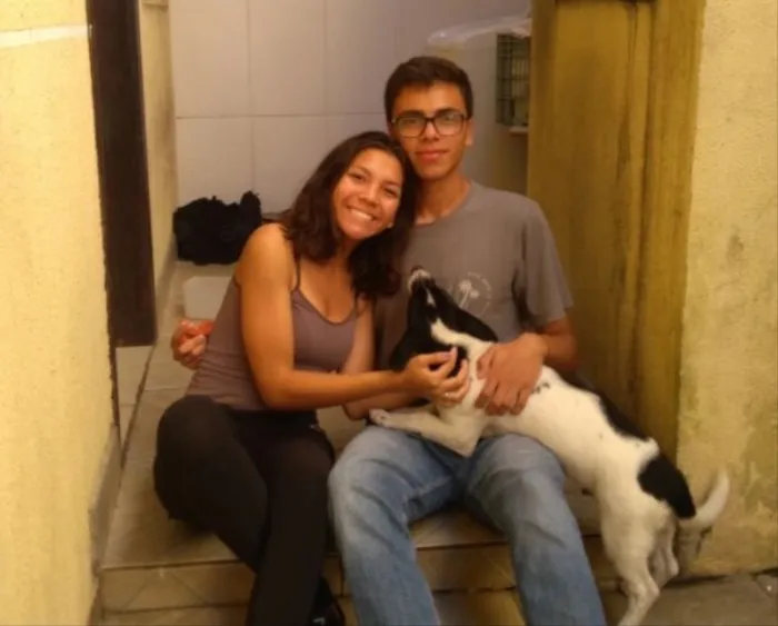 Cachorro ra a  idade  nome Dino