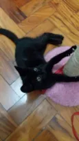 Mel