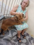Lola, Thor e Loki