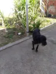 Princesa