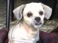 Spook