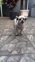 Spook