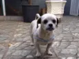 Spook