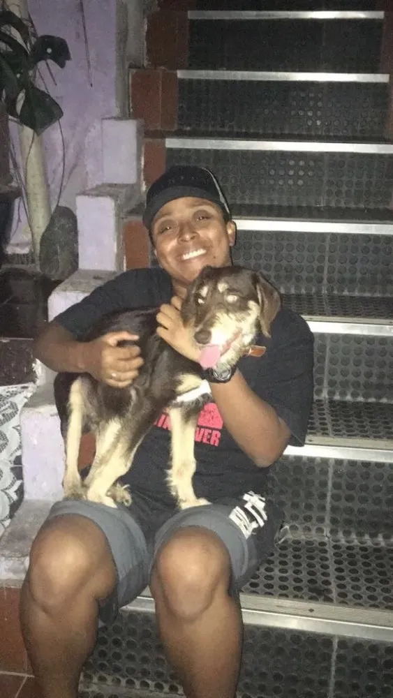 Cachorro ra a Mestiço idade 7 a 11 meses nome Toddy