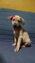Kiara