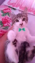 Oliver