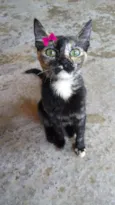 Lupita