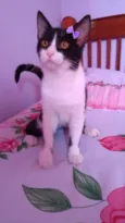 Baby