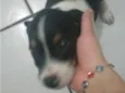 NOME A DEFINIR