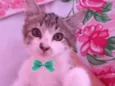 Oliver