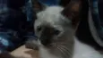 Sem nome