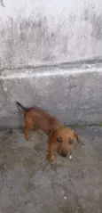 Não tem