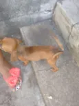 Não tem