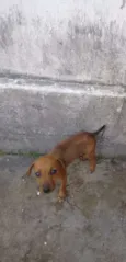 Não tem
