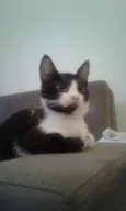 VALENTIN