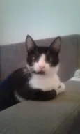VALENTIN