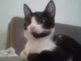 VALENTIN