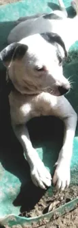 Vitória