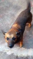 Spyke