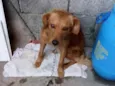 Billy