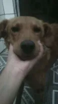 Billy