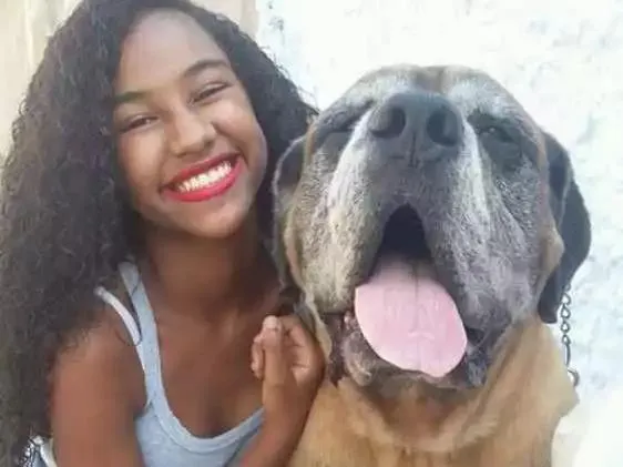 Cachorro ra a Mastiff Inglês  idade 6 ou mais anos nome Phanton
