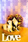 Kit-Kat & Luke