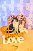 Kit-Kat & Luke