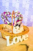 Kit-Kat & Luke