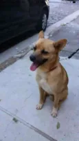 Scooby