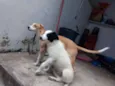 Lilly e Jack