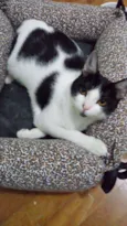 Francisco